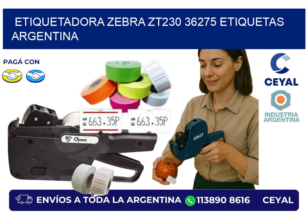 etiquetadora zebra zt230 36275 etiquetas argentina