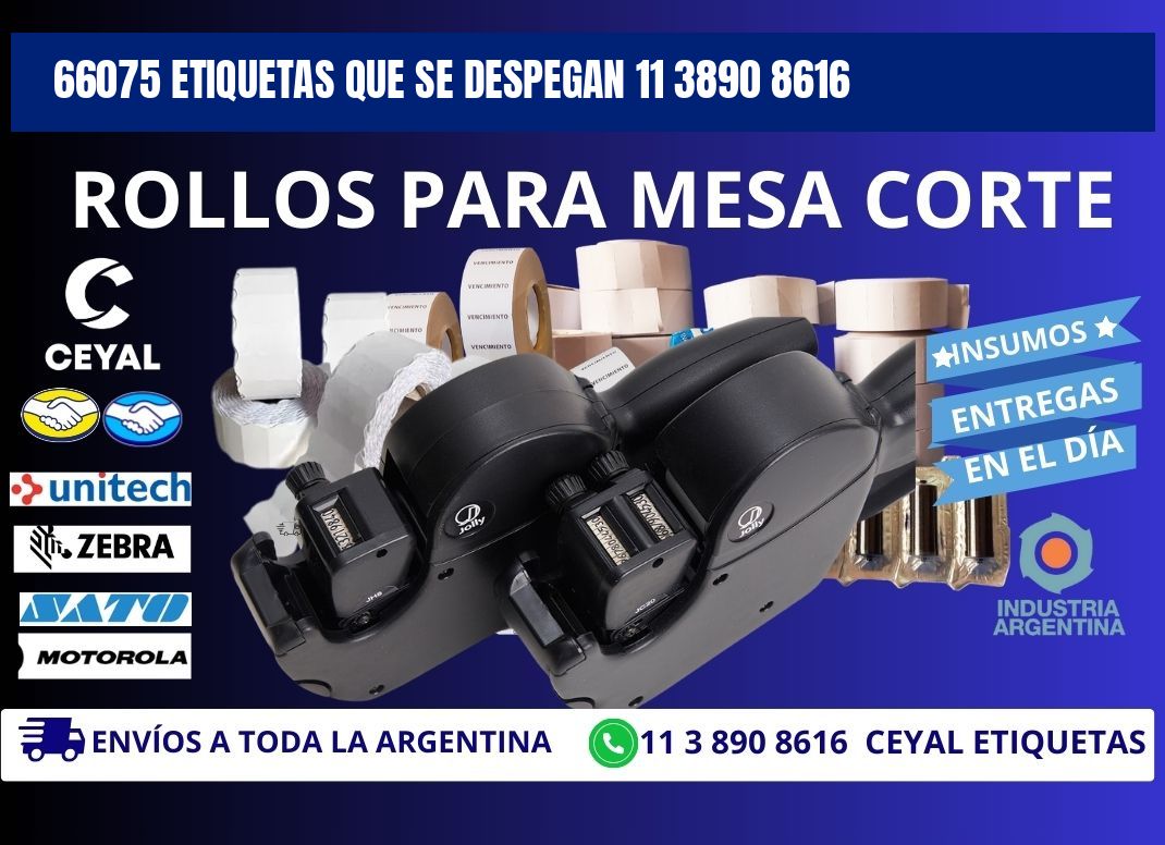 66075 ETIQUETAS QUE SE DESPEGAN 11 3890 8616