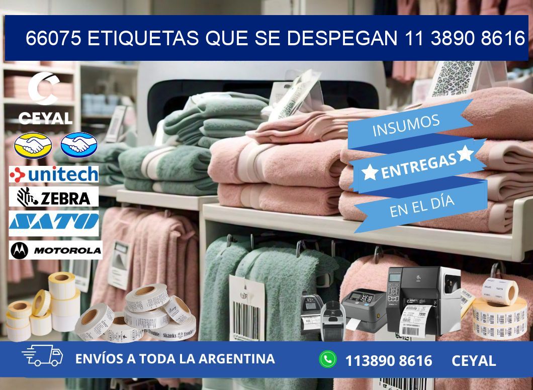 66075 ETIQUETAS QUE SE DESPEGAN 11 3890 8616