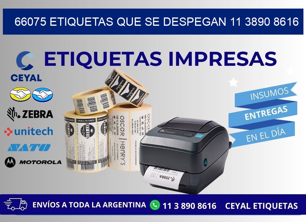 66075 ETIQUETAS QUE SE DESPEGAN 11 3890 8616