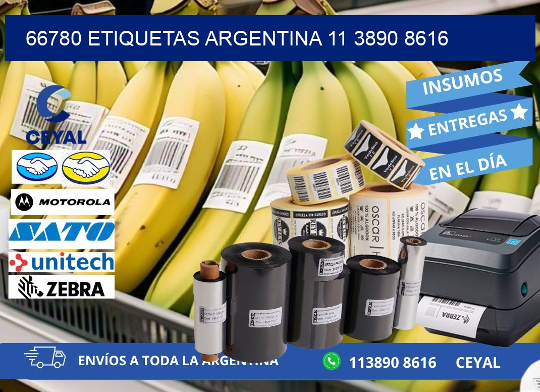 66780 ETIQUETAS ARGENTINA 11 3890 8616