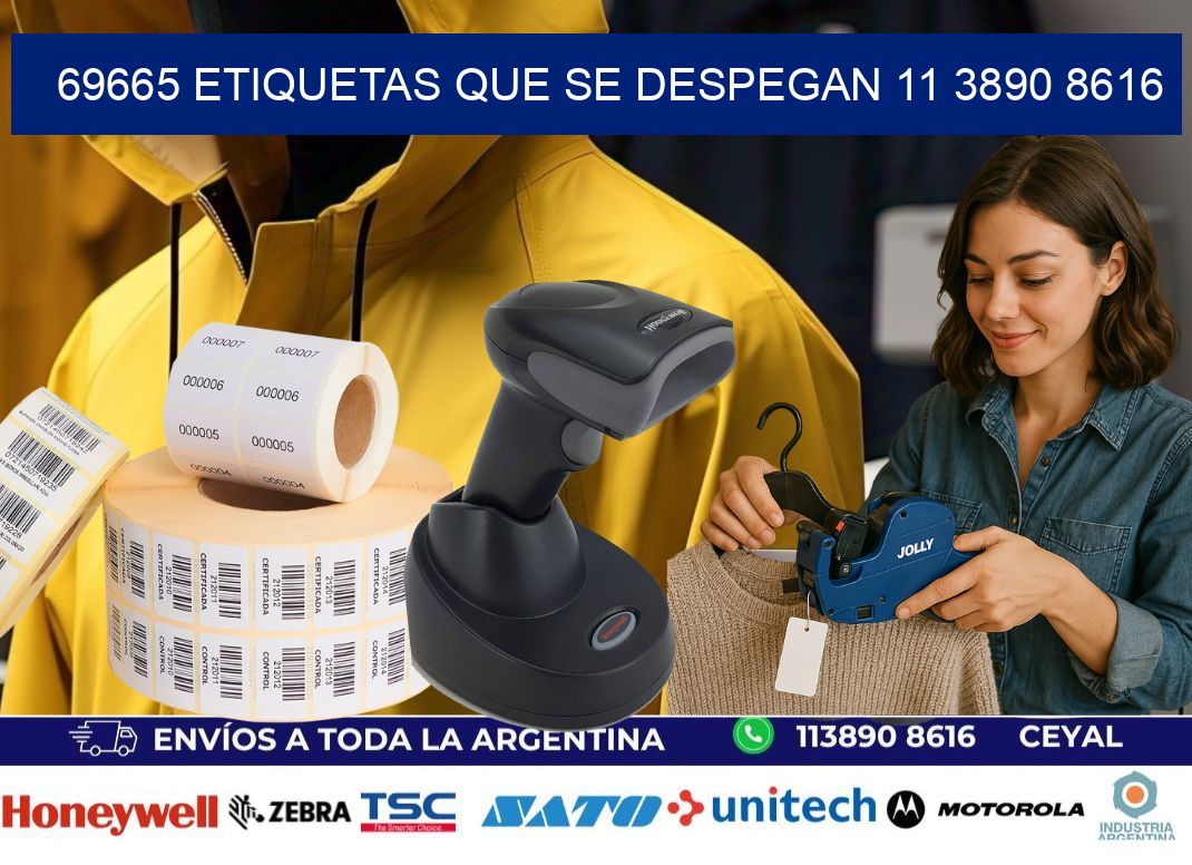 69665 ETIQUETAS QUE SE DESPEGAN 11 3890 8616