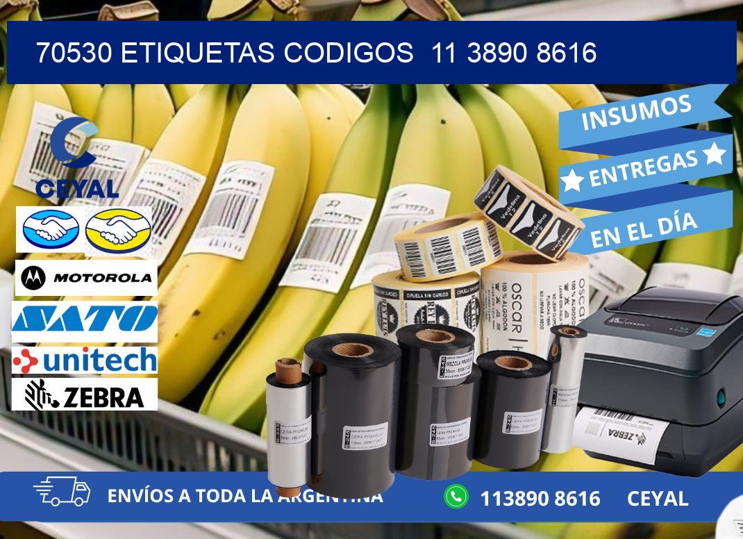 70530 ETIQUETAS CODIGOS  11 3890 8616