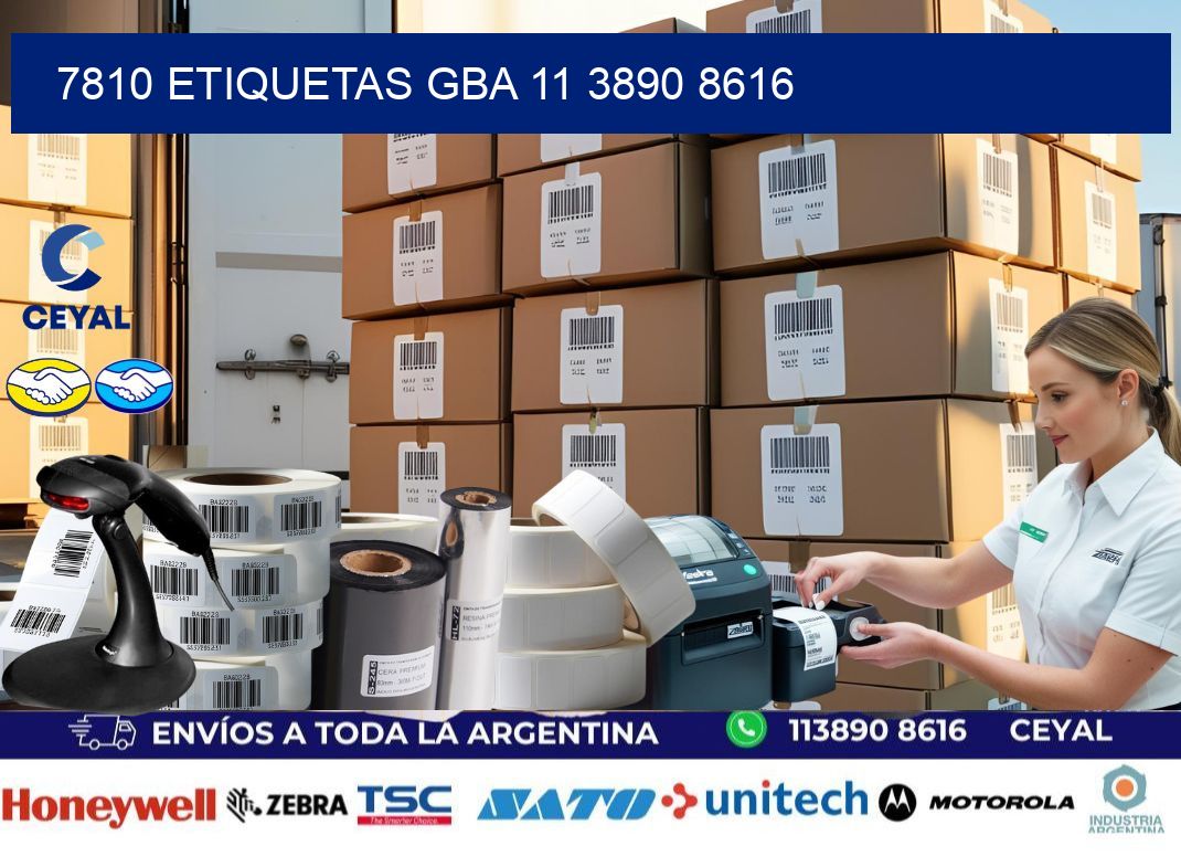 7810 ETIQUETAS GBA 11 3890 8616