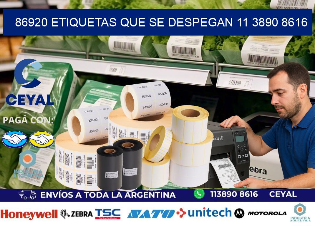 86920 ETIQUETAS QUE SE DESPEGAN 11 3890 8616