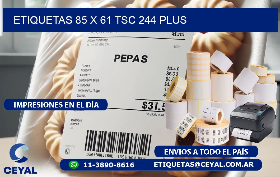 ETIQUETAS 85 x 61 TSC 244 PLUS