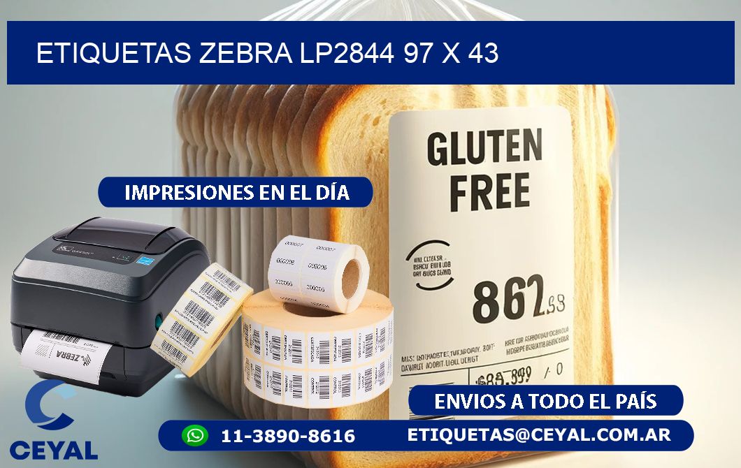 ETIQUETAS Zebra LP2844 97 x 43