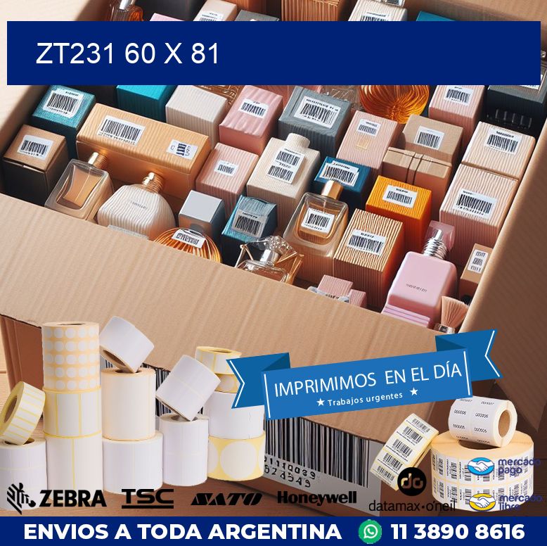 ZT231 60 x 81