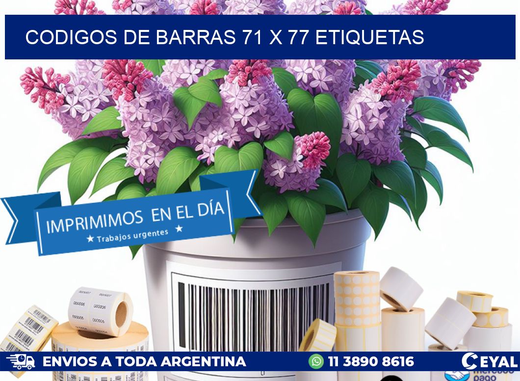 codigos de barras 71 x 77 etiquetas