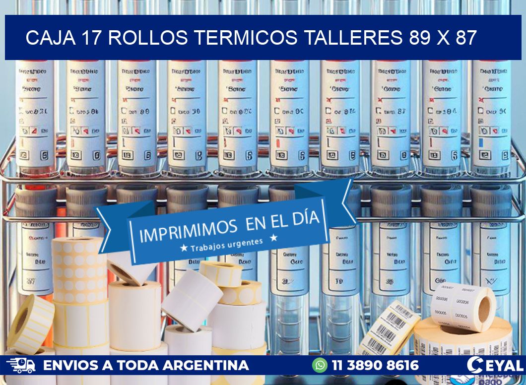 CAJA 17 ROLLOS TERMICOS TALLERES 89 x 87