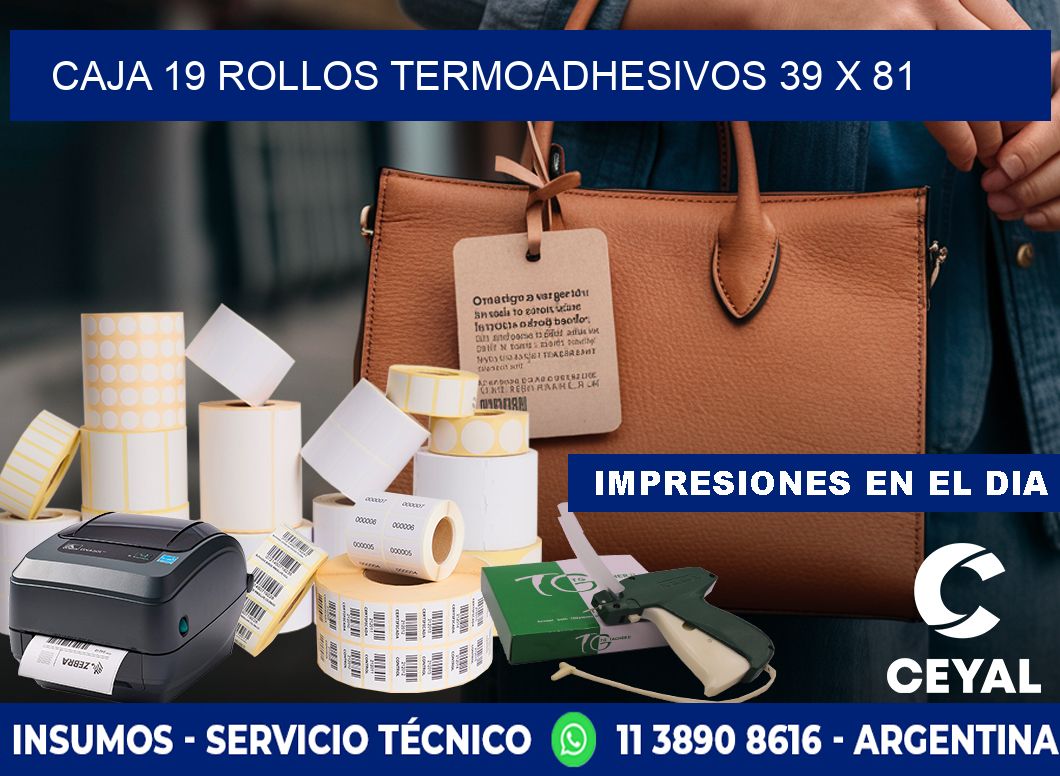 CAJA 19 ROLLOS TERMOADHESIVOS 39 x 81