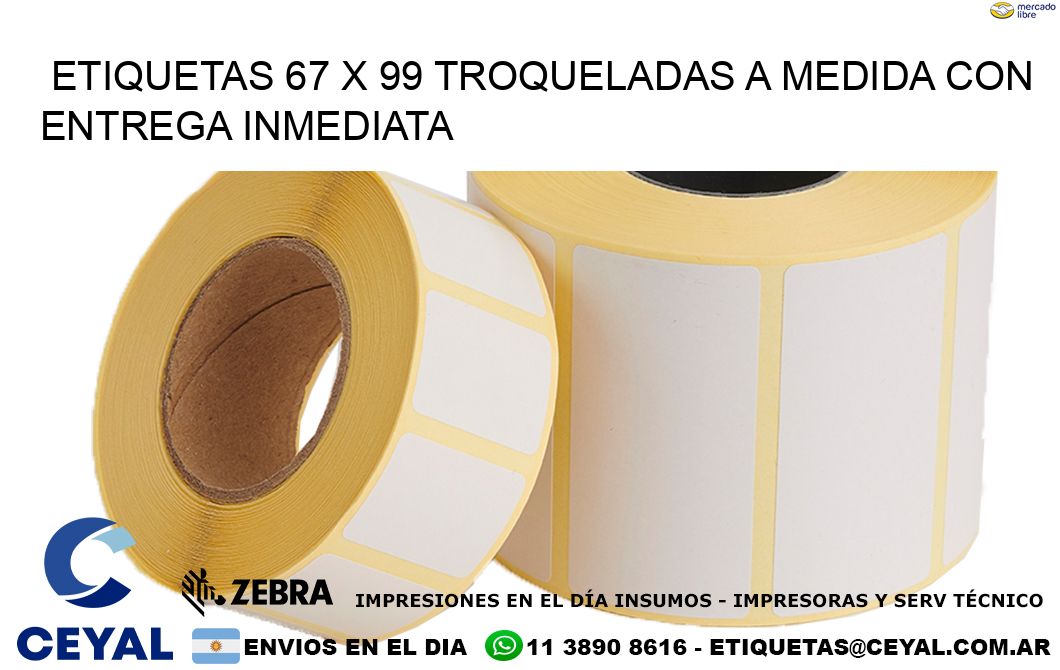 Etiquetas 67 x 99 troqueladas a medida con entrega inmediata