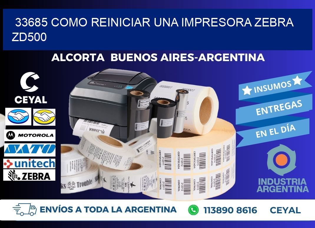33685 Como reiniciar una impresora Zebra  ZD500