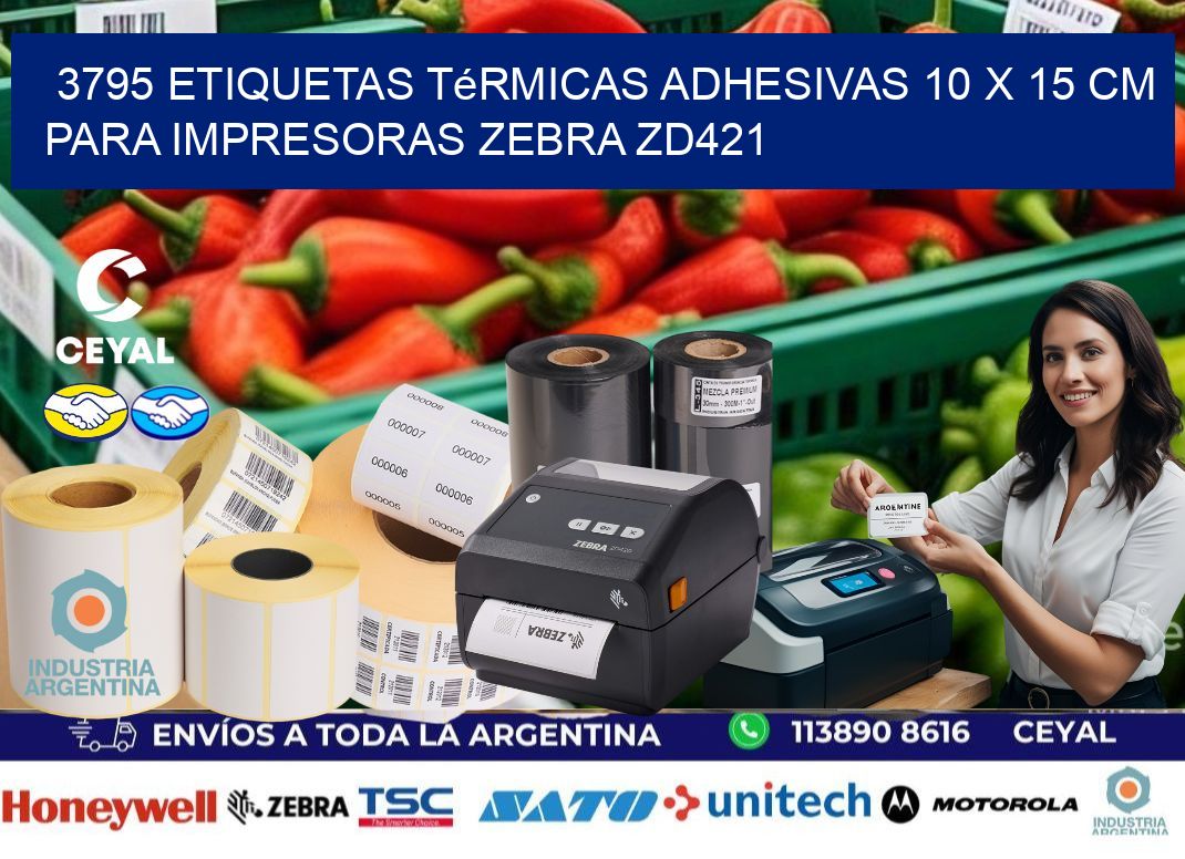 3795 Etiquetas Térmicas Adhesivas 10 x 15 cm para Impresoras Zebra ZD421