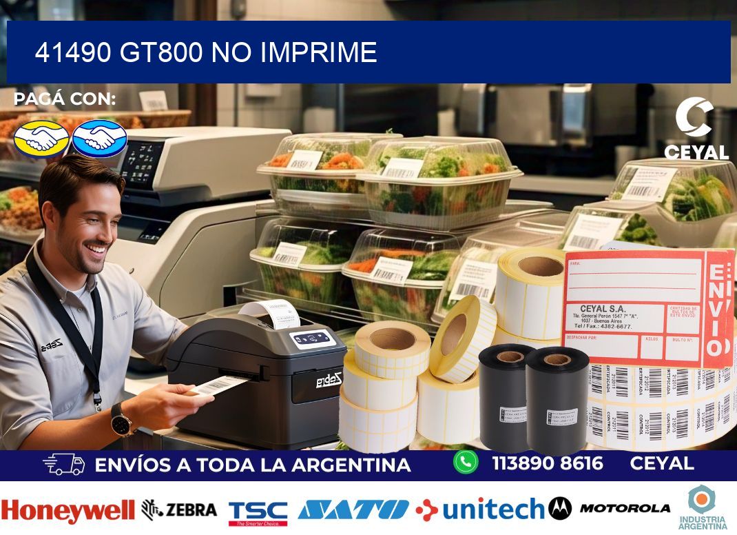 41490 GT800 no imprime
