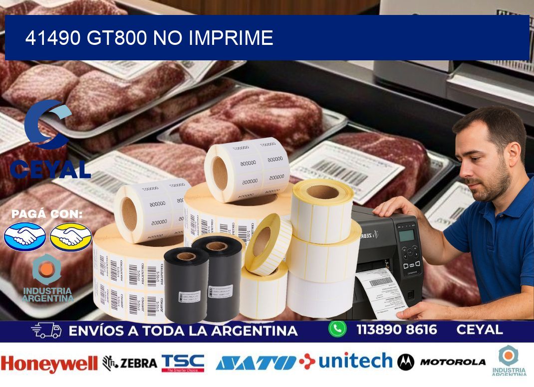 41490 GT800 no imprime