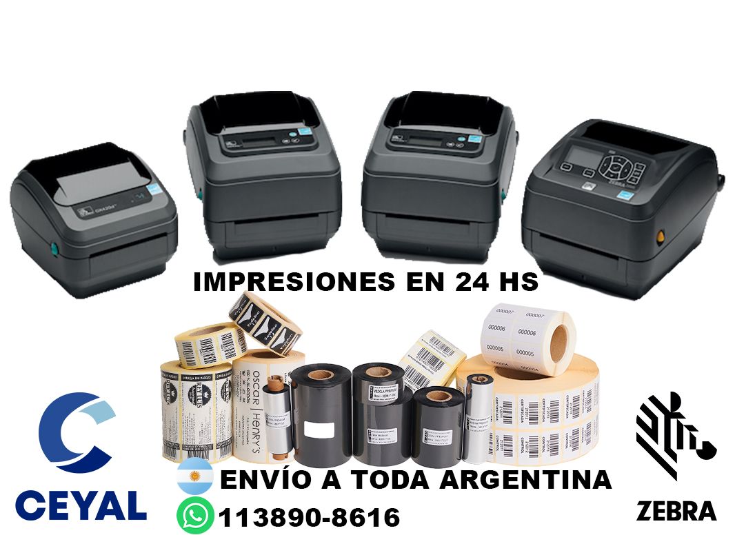 67735 ZT230 no imprime
