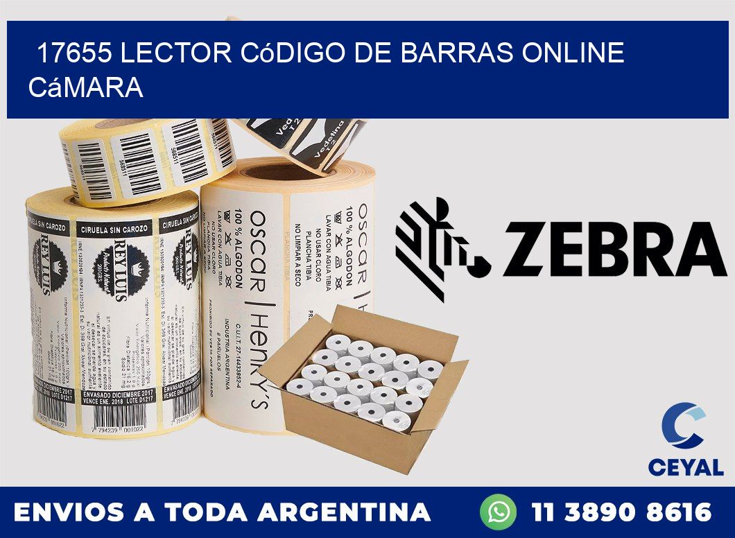 17655 Lector código de barras online cámara