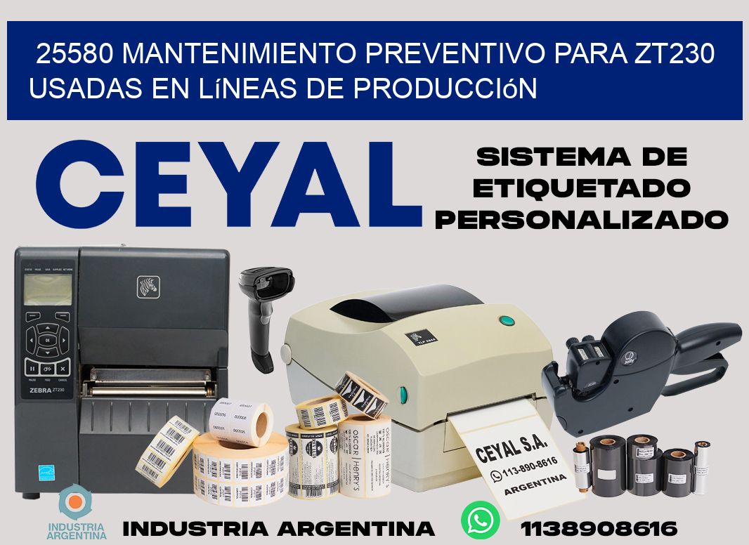 25580 mantenimiento preventivo para zt230 usadas en líneas de producción