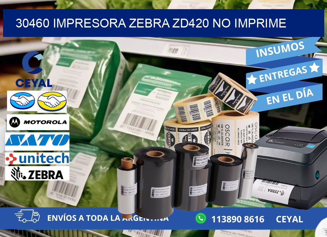 30460 Impresora Zebra ZD420 no imprime