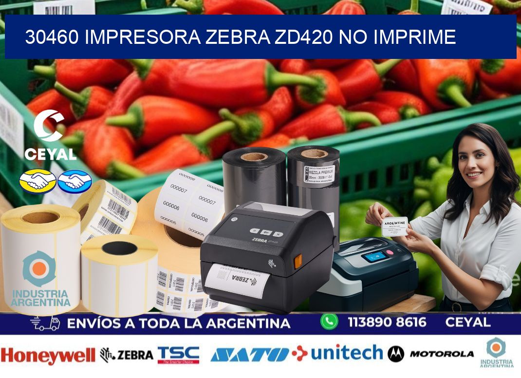 30460 Impresora Zebra ZD420 no imprime