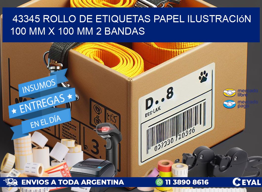 43345 Rollo de Etiquetas Papel Ilustración 100 mm x 100 mm 2 Bandas