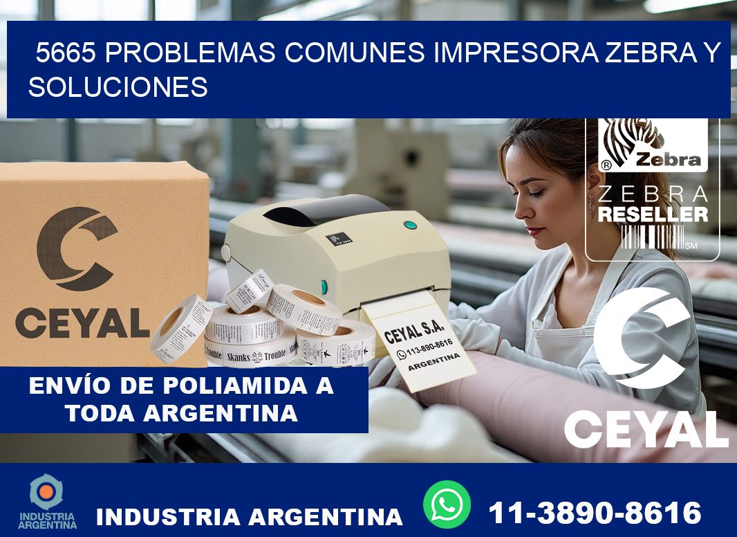 5665 problemas comunes impresora Zebra y soluciones