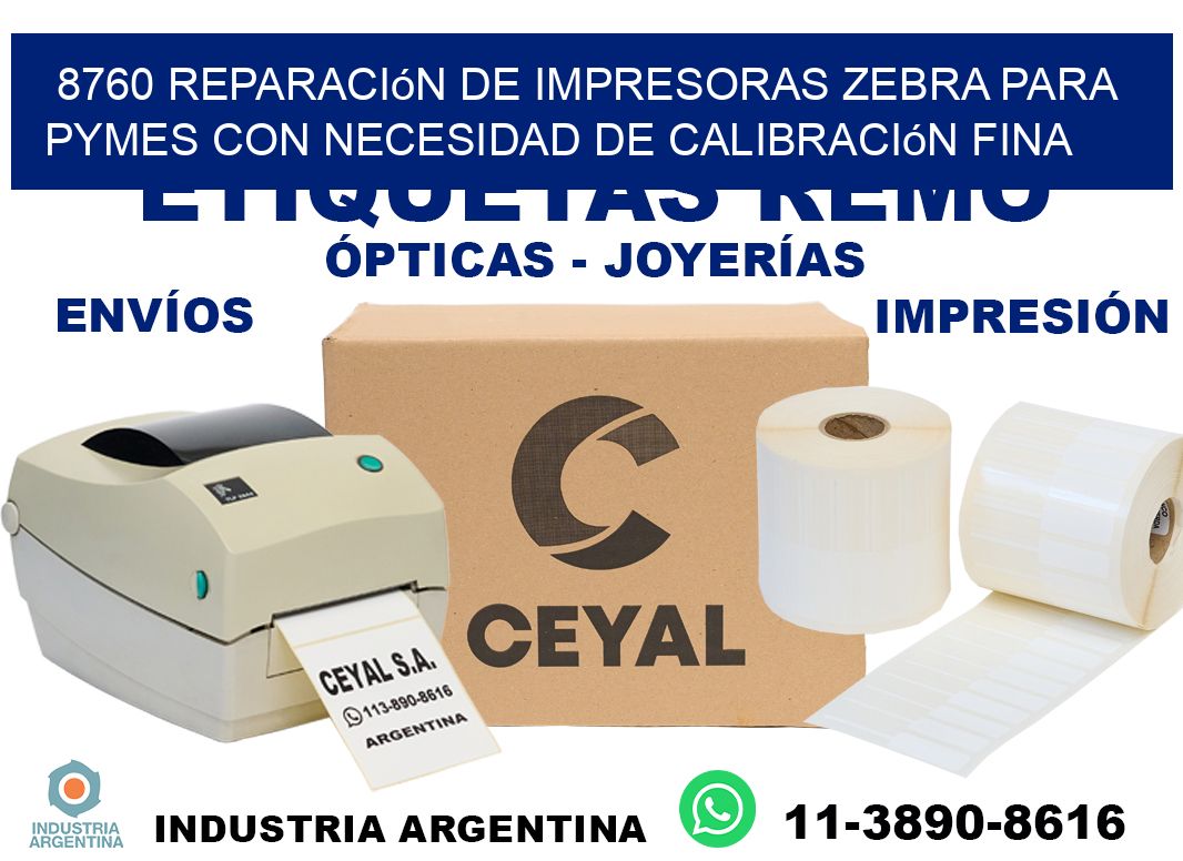 8760 reparación de impresoras zebra para pymes con necesidad de calibración fina