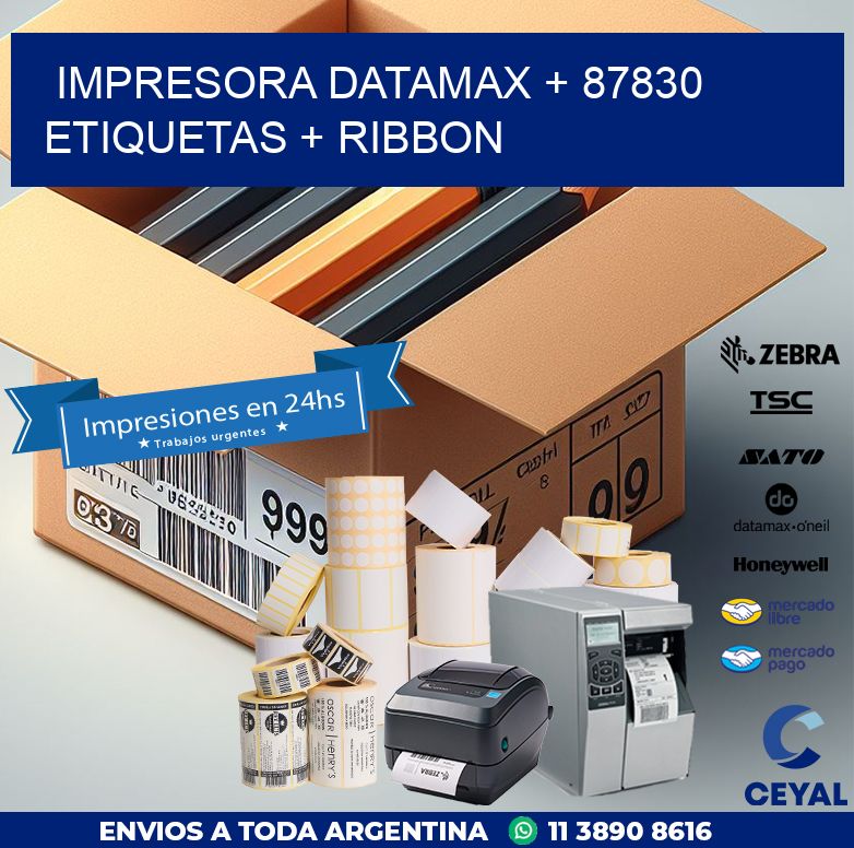 impresora DATAMAX + 87830 etiquetas + ribbon