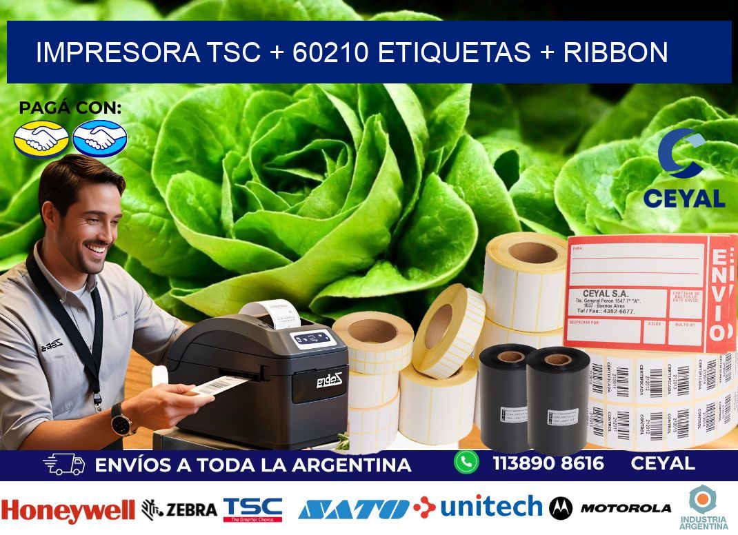 impresora TSC + 60210 etiquetas + ribbon