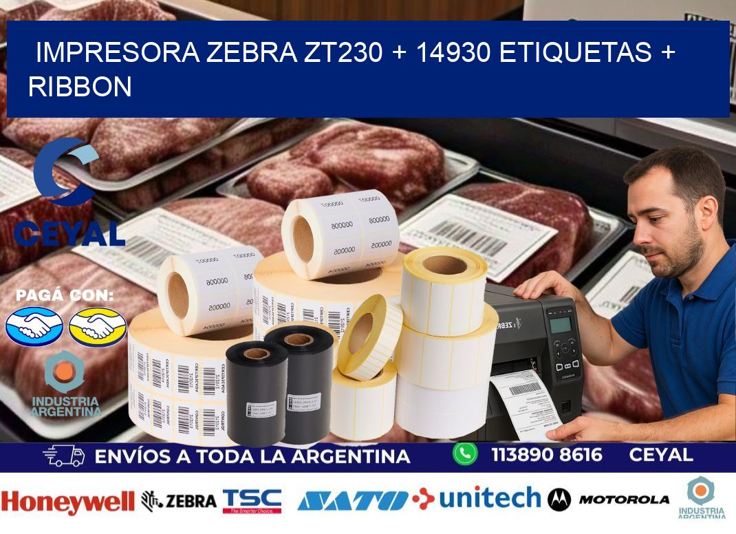impresora zebra zt230 + 14930 etiquetas + ribbon