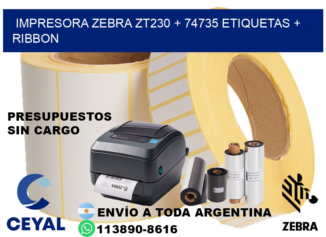 impresora zebra zt230 + 74735 etiquetas + ribbon