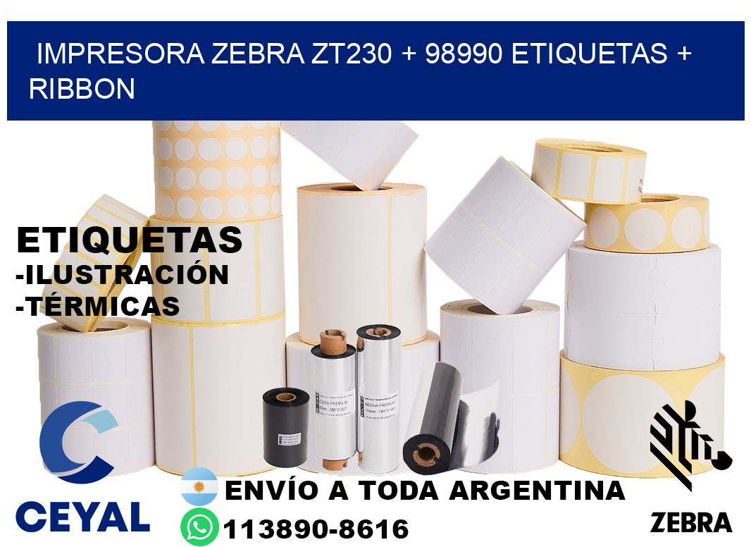 impresora zebra zt230 + 98990 etiquetas + ribbon