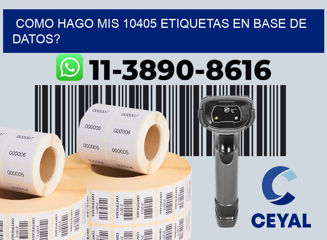 como hago mis 10405 etiquetas en base de datos?