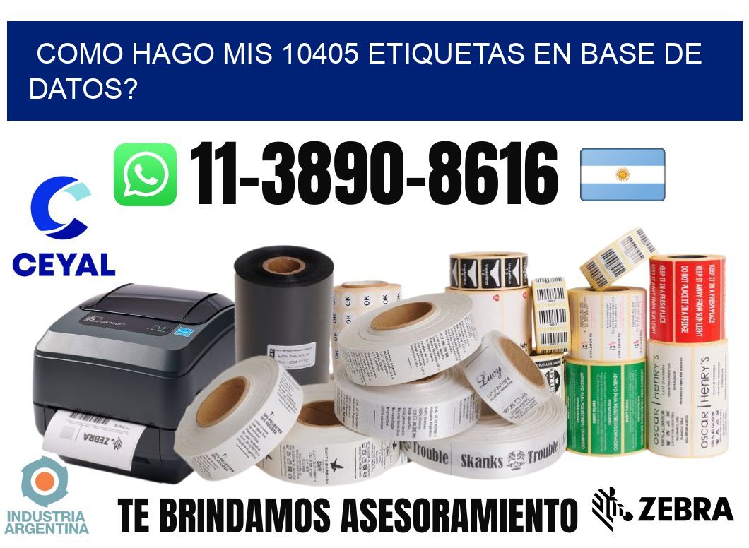 como hago mis 10405 etiquetas en base de datos?