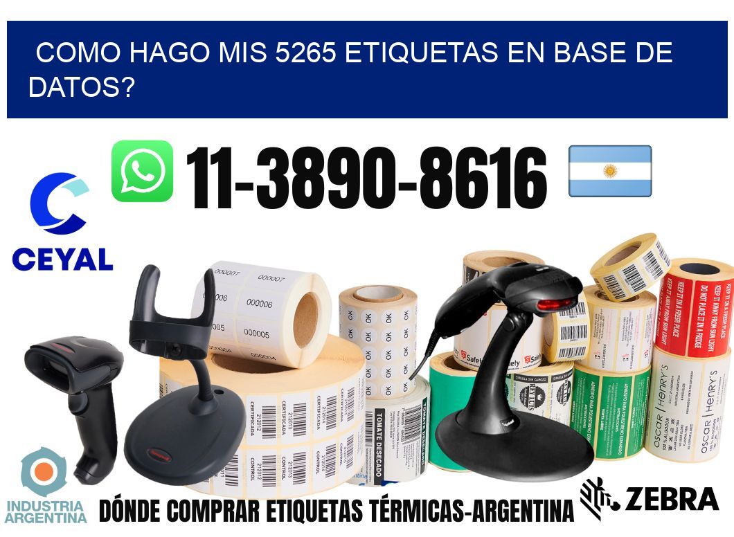como hago mis 5265 etiquetas en base de datos?