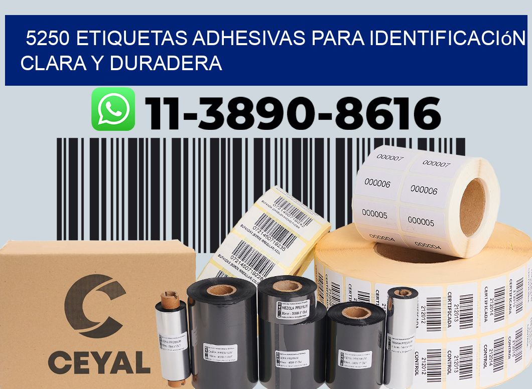 5250 Etiquetas adhesivas para identificación clara y duradera
