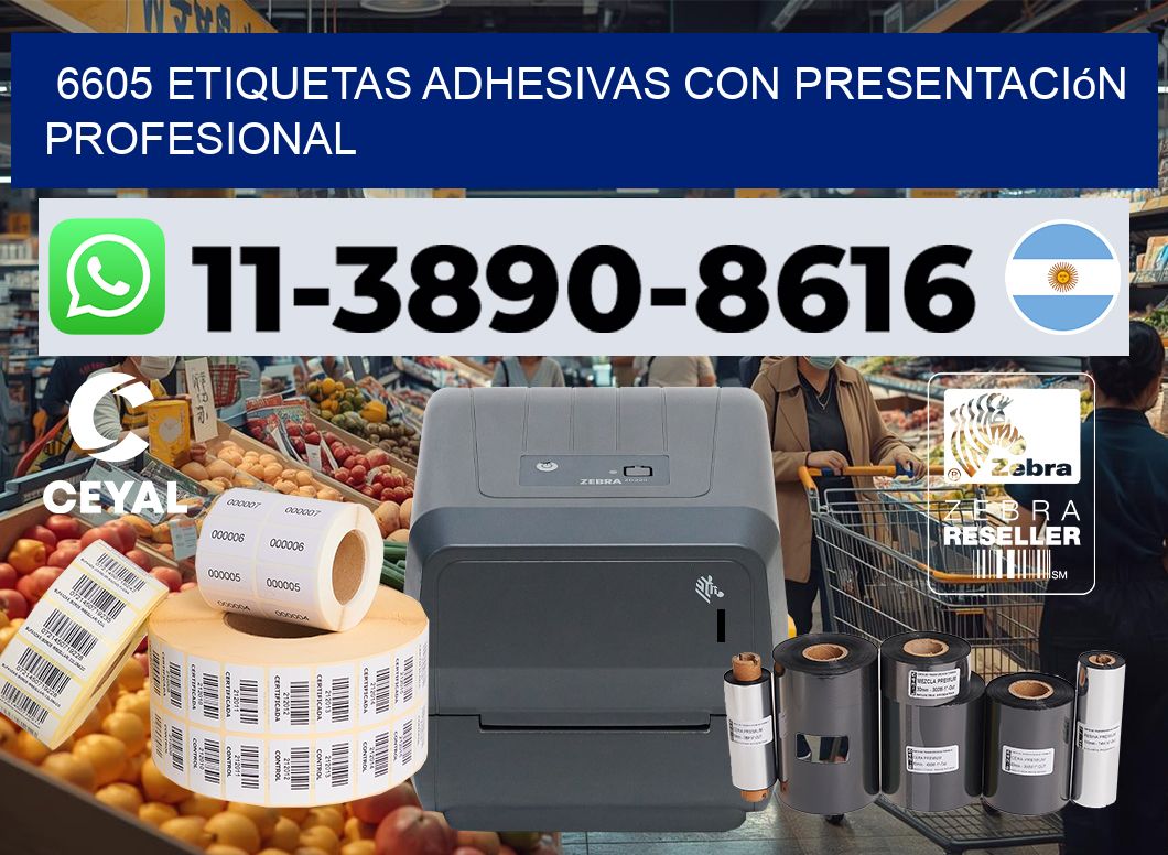 6605 Etiquetas adhesivas con presentación profesional