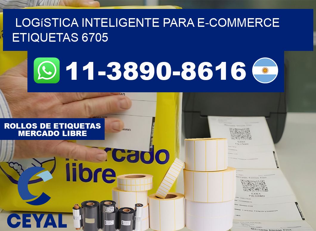 Logística inteligente para e-commerce  etiquetas 6705