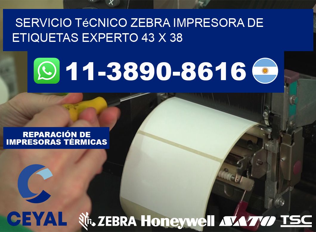 Servicio Técnico Zebra Impresora de Etiquetas Experto 43 x 38