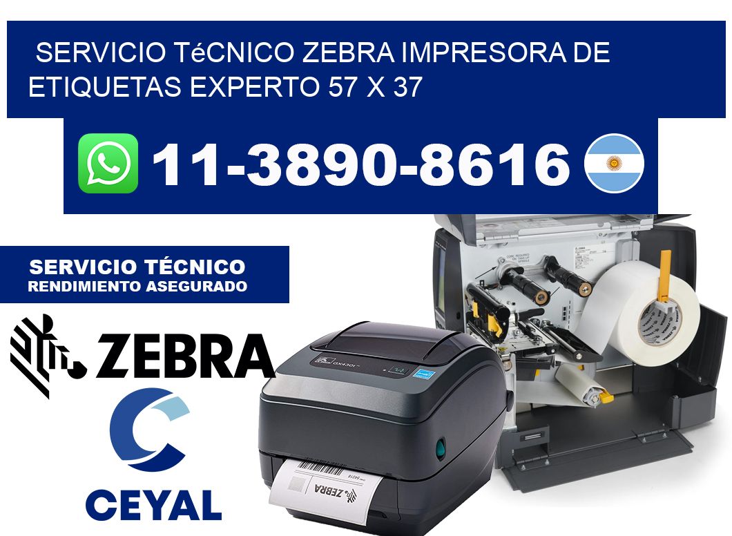 Servicio Técnico Zebra Impresora de Etiquetas Experto 57 x 37