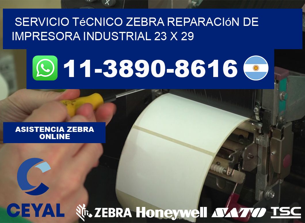 Servicio Técnico Zebra Reparación de Impresora Industrial 23 x 29