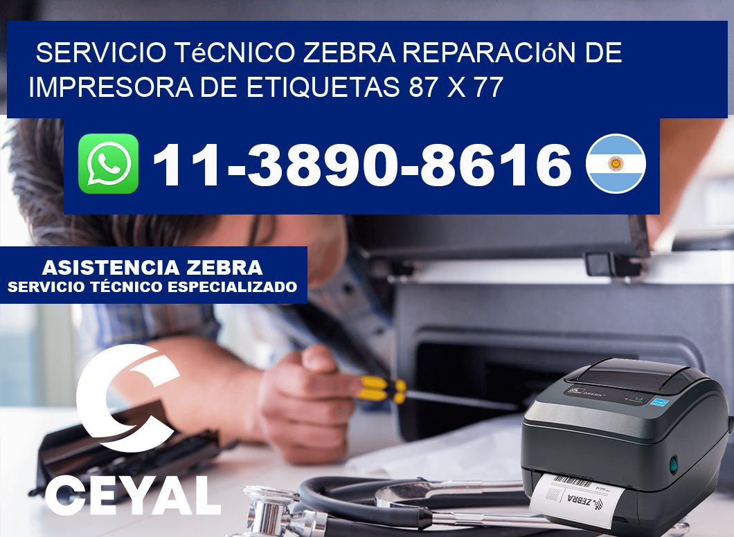 Servicio Técnico Zebra Reparación de Impresora de Etiquetas 87 x 77