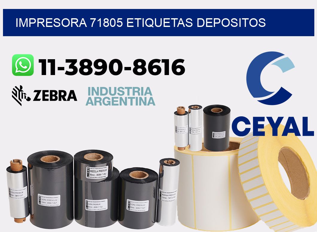 impresora 71805 etiquetas depositos