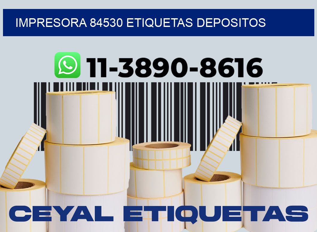 impresora 84530 etiquetas depositos