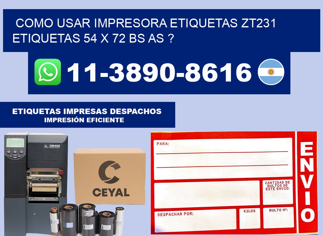 como usar impresora etiquetas zt231 etiquetas 54 x 72 BS AS ?
