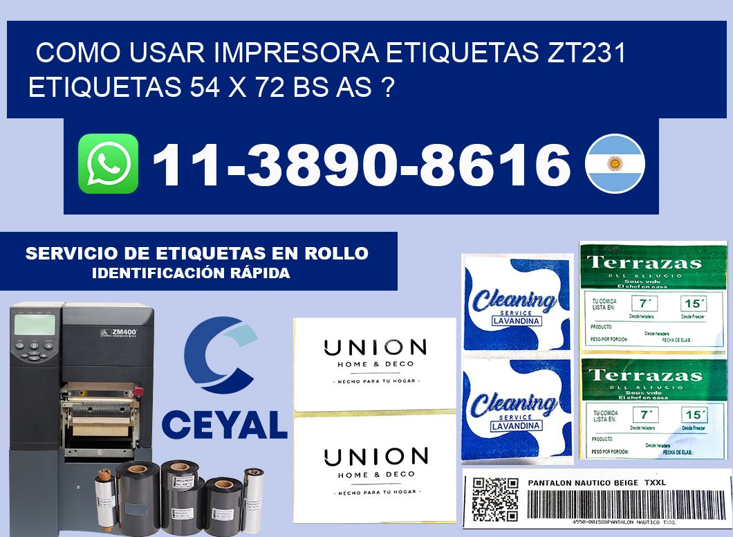 como usar impresora etiquetas zt231 etiquetas 54 x 72 BS AS ?