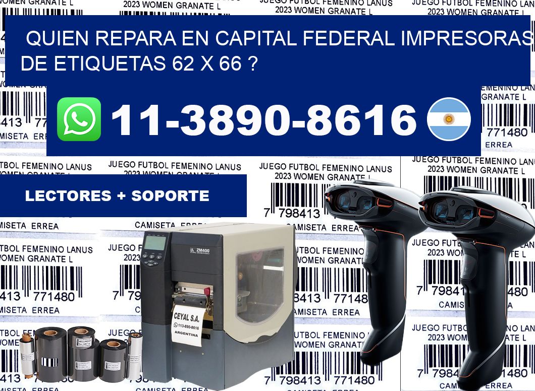 quien repara en capital federal impresoras de etiquetas 62 x 66 ?