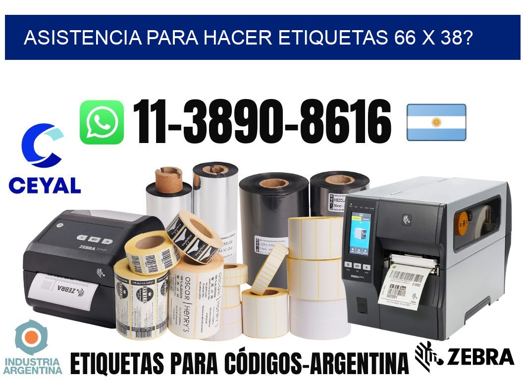 asistencia para hacer etiquetas 66 x 38?