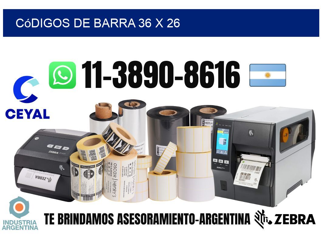 códigos de barra 36 x 26